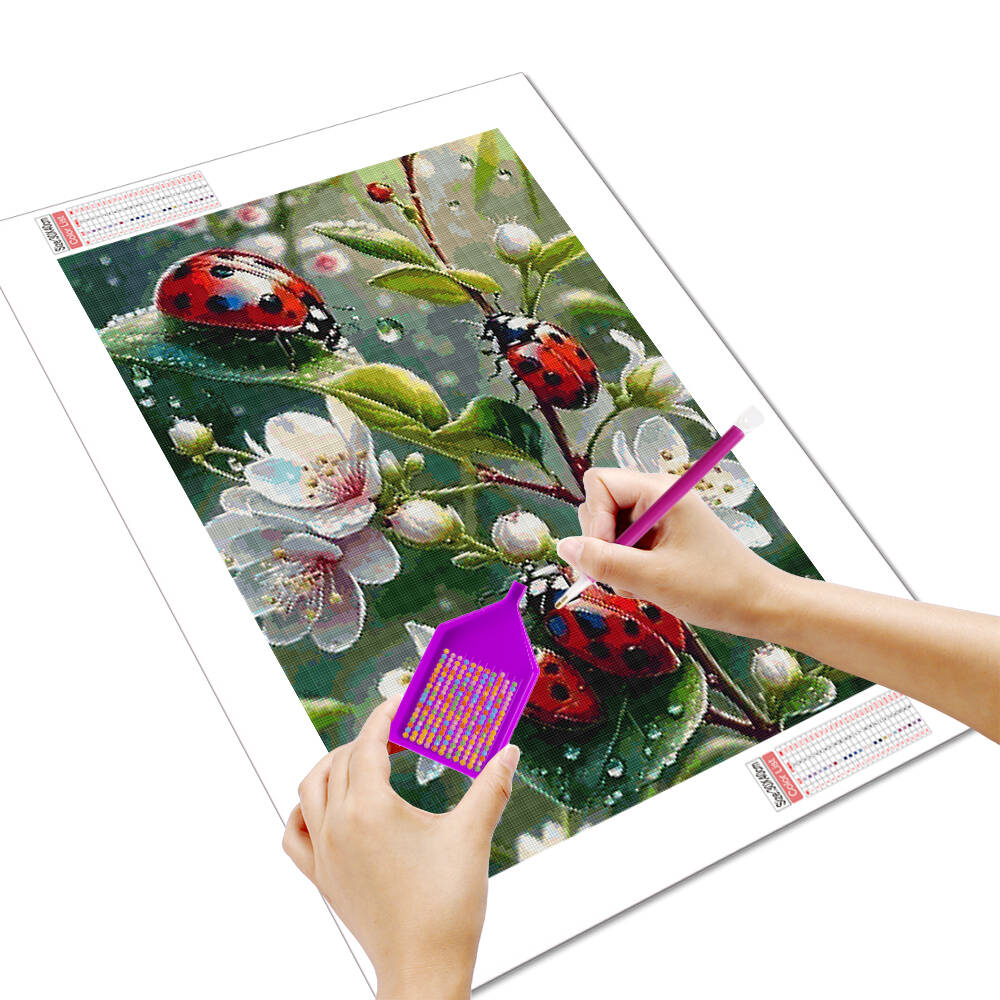 HUACAN-pintura de diamante 5D  - Embroidery Lady Bug reseña y precio